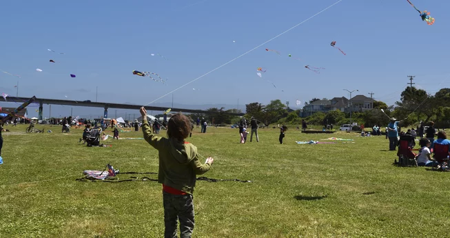 Go Fly a Kite!