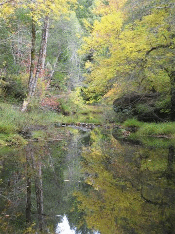 Fall Color in Humboldt? | Lost Coast Outpost | Humboldt County