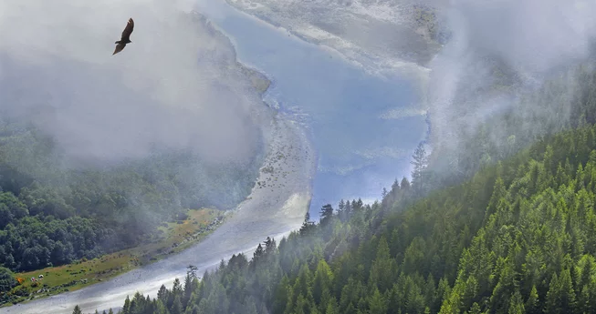 Huge Land-Back Deal for Yurok