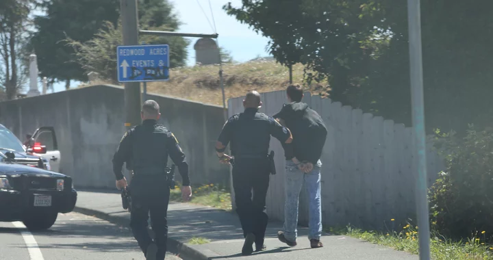 Juvenile Arrested at Cooper Gulch After Running From Cops, Allegedly ...