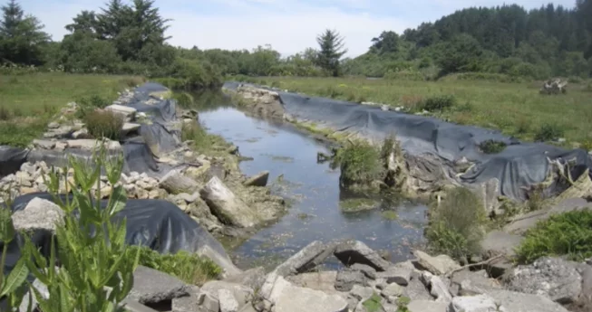 AG to Review Little River Case