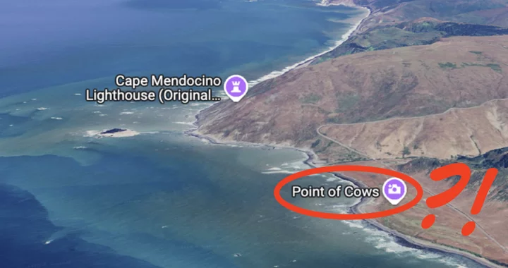 POLL! Huh. Have Y’all Been Calling This Humboldt Place ‘Point of Cows’ and Just Not Telling Us? | POLLZ | Lost Coast Outpost