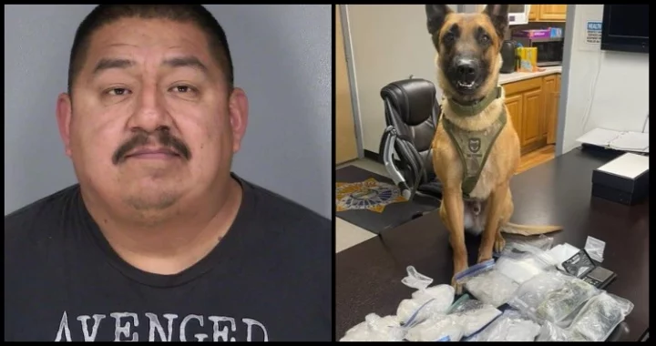 Pounds And Pounds Of Meth Found In Fortuna Man's Possession After Weeks ...