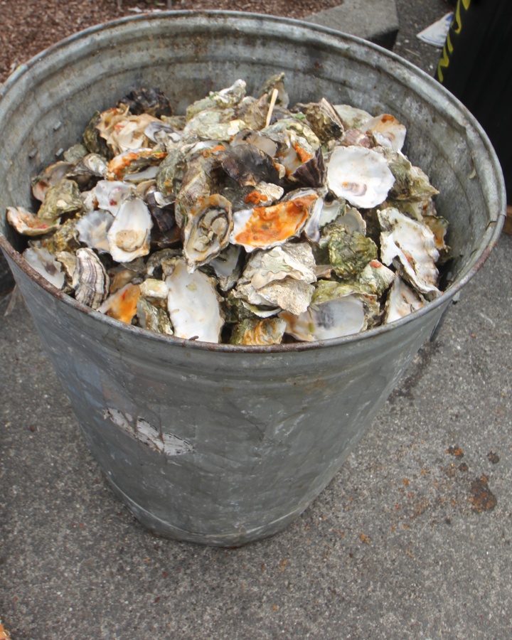 (PHOTOS) Another Amazing Oyster Fest Lost Coast Outpost Humboldt