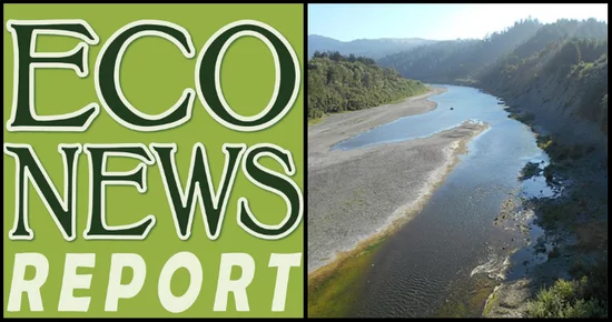 THE ECONEWS REPORT: Big Doings on the Beautiful Eel River