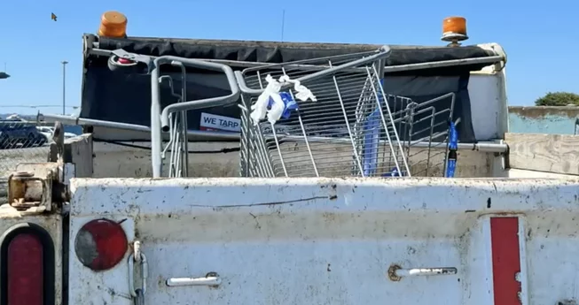 Eureka's Shopping Cart Problem