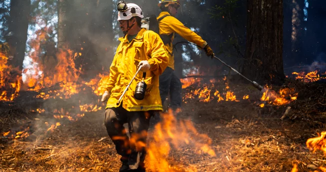 'Good Fire'