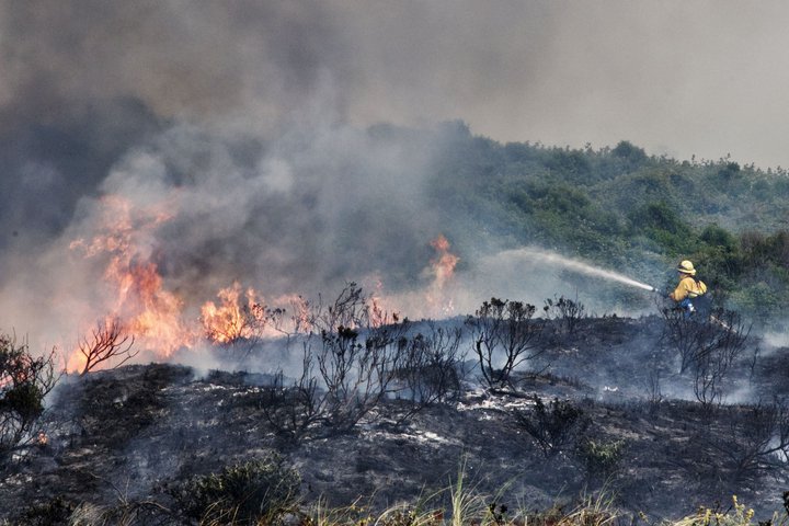 (PHOTOS) Firefighters Extinguished Vegetation Fire in Fairhaven ...