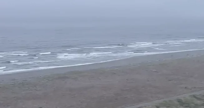TSUNAMI CANCELED 