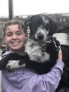 Image for Calling all Youth Animal Lover