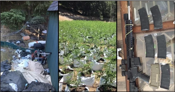 (PHOTOS) 40,000 Marijuana Plants, 2,300 Pounds of Processed Weed Seized ...