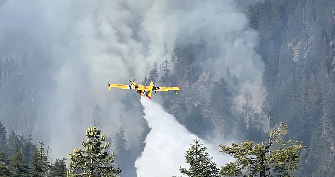 Butler Fire Tops 10,800 Acres
