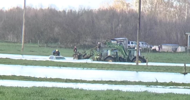 Water Rescue in Ferndale