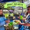 Image for Bright and Green-REUSE!