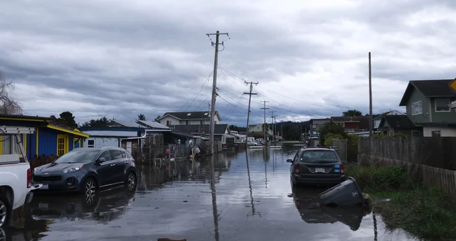 The King Salmon Rebuild