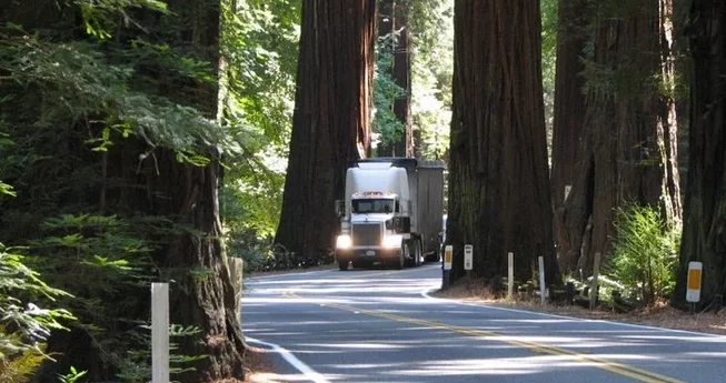 Richardson Grove Battle Ends