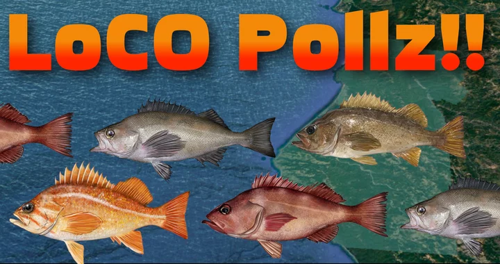 POLL! How Often Do You Fish?
