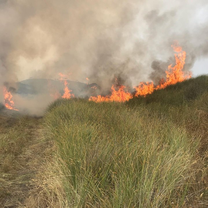 Yesterday's Vegetation Fire in Fairhaven Threatened 20 Homes, Arcata ...