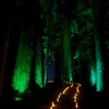Image for Earth Day Candlelit Walk