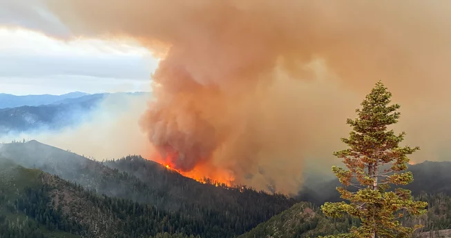 Thursday Fire Update
