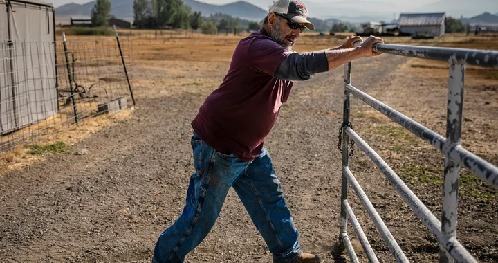 Ranchers, tribes, state clash over Shasta River water - CalMatters