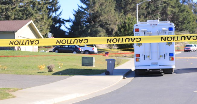 Homicide Victims Named