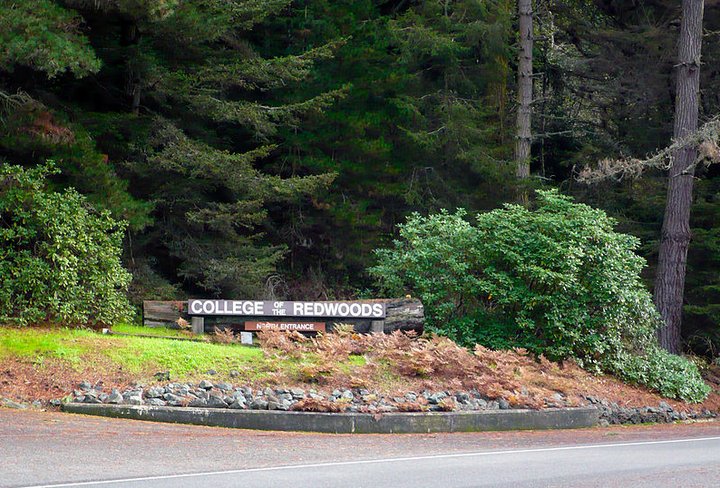 College of the Redwoods Plans to Resume Many In-Person Classes This