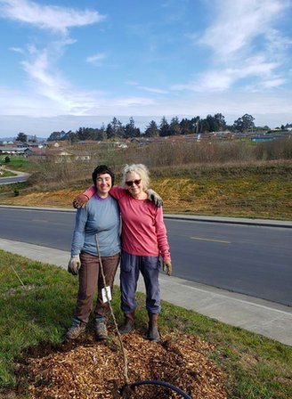 Local Nonprofit Will Plant Free Fruit Trees in Your Yard, As Long as You Promise to Share The Fruit - Lost Coast Outpost