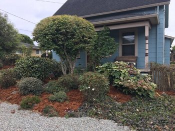 Image for Bayside Victorian for Rent