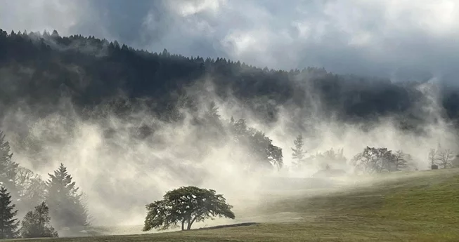 Kneeland's 'Green' Cemetery