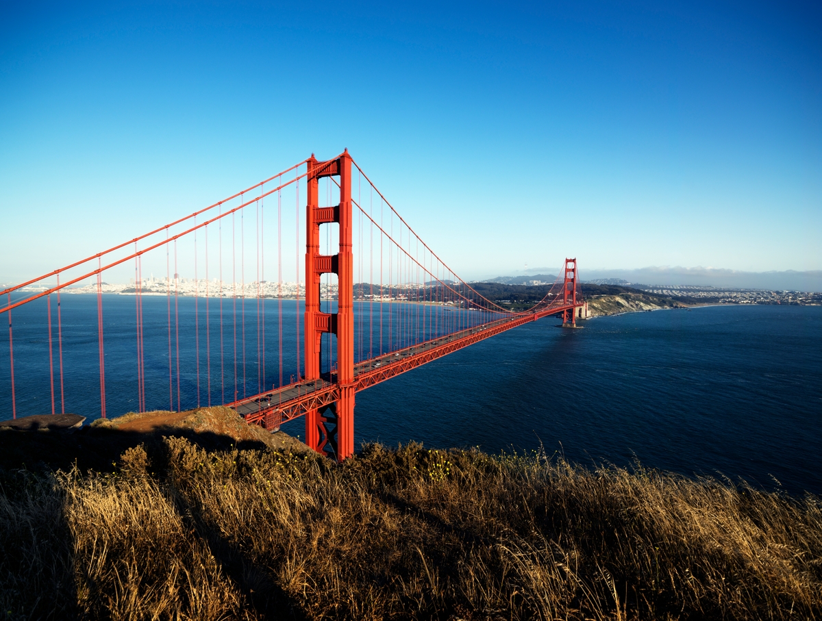 The 2021 Gubernatorial Recall Effort