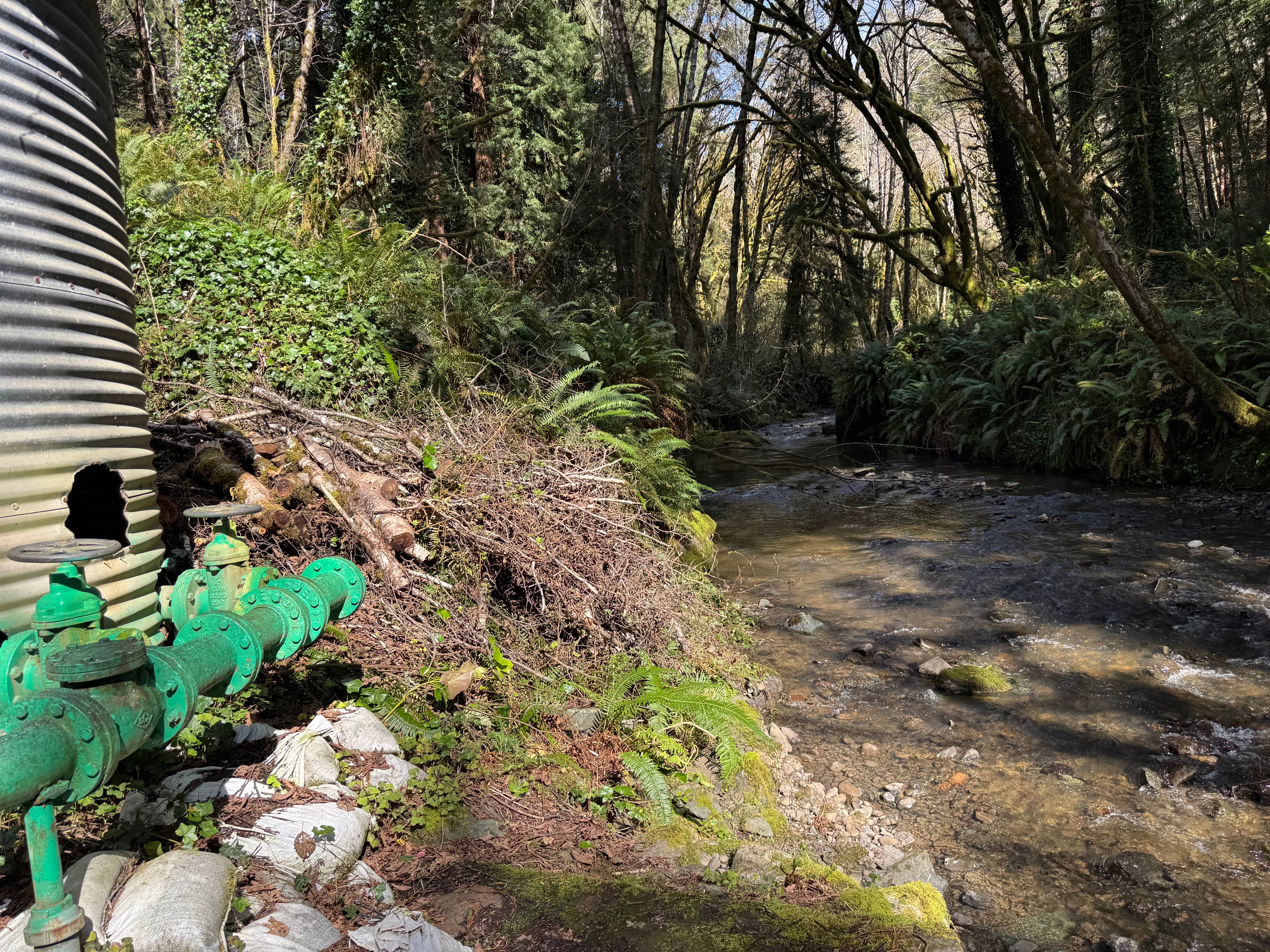 How Trinidad's Big Water Leak Highlights a Much Bigger Quandary | Lost ...