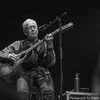 Image for Bruce Cockburn Checks In