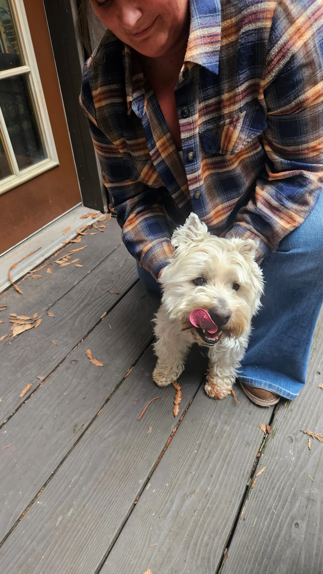 Found Dog
