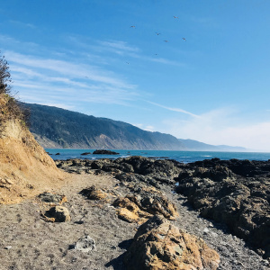 The LoCO Lowdown | Lost Coast Outpost | Humboldt County