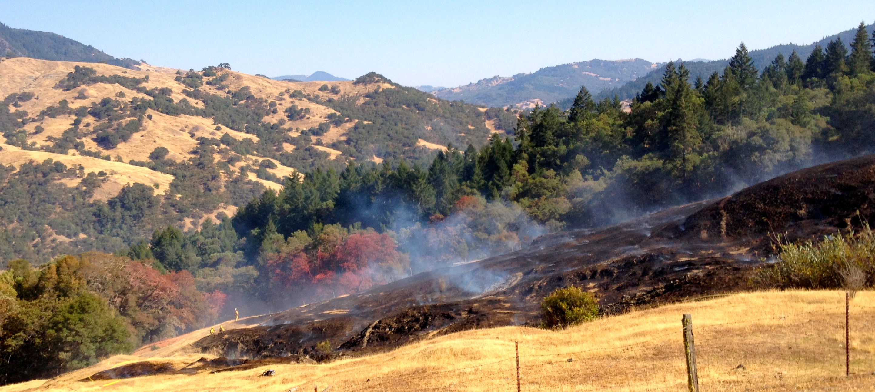 [UPDATED With More Photos] Vegetation Fire Near Alderpoint