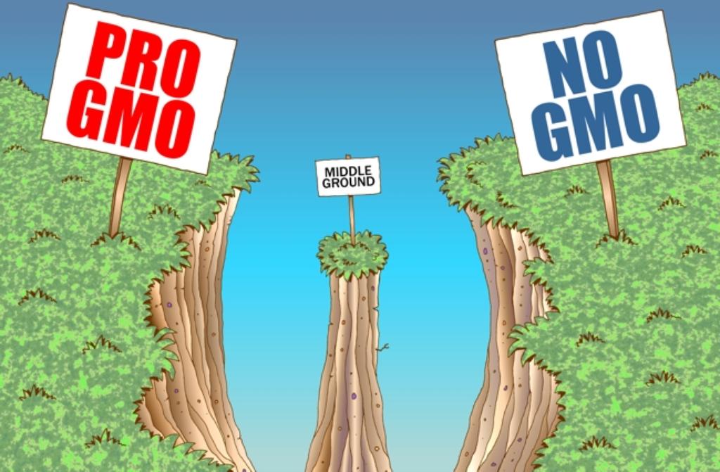 What Are The Pros And Cons Of Gmo Foods