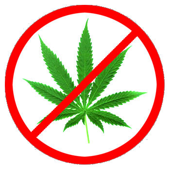 no weed